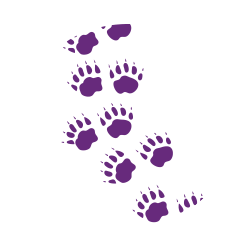 foot prints, paw prints, hoof prints, bear prints, animals